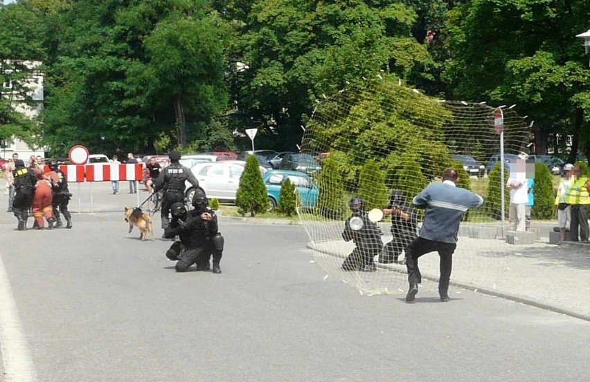 Na najbardziej agresywnych bandziorów mikołowscy "komandosi"...