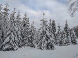 Tam to jest zima! Tylko kilkanaście kilometrów od Nowego Sącza