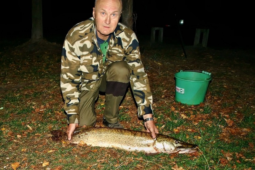 Szczupak GIGANT złowiony na Zalewie Pniowieckim [ZDJĘCIA]