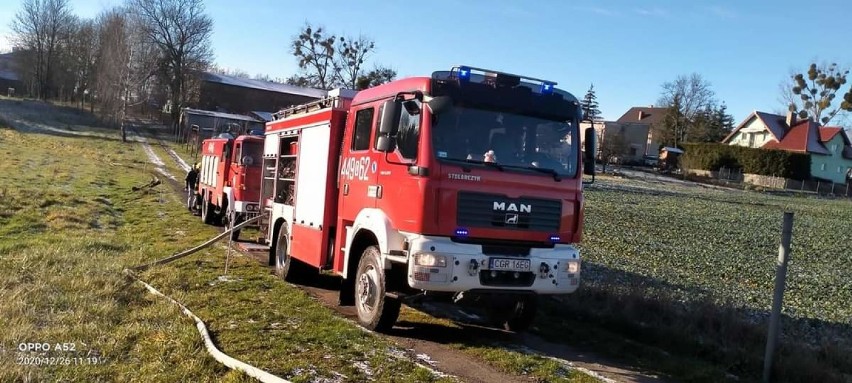 Pożar domku letniskowego w Nogacie w powiecie grudziądzkim [zdjęcia]