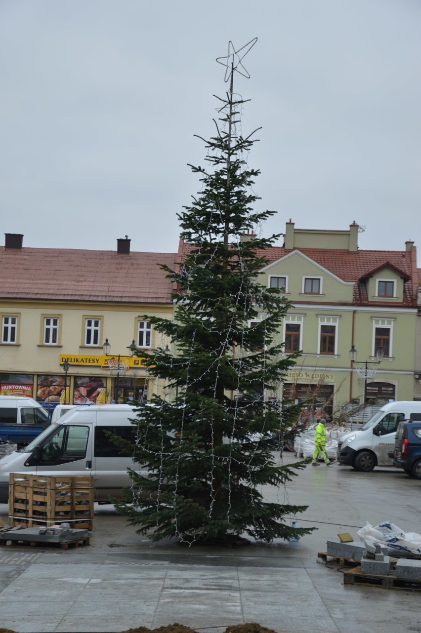 Choinka bożonarodzeniowa na przebudowywanym Rynku w Bochni