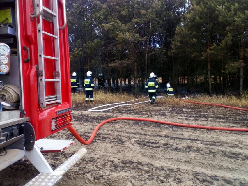 22 zastępy straży gasiły pożar we Wróblewie. Do akcji użyto także samolot gaśniczy [zdjęcia]