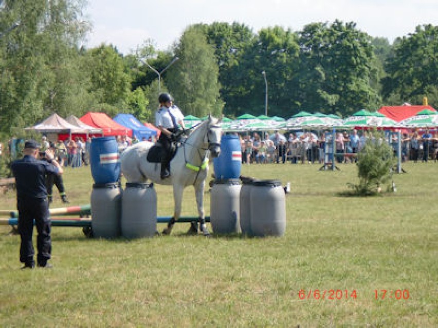 XIV Międzynarodowy Turniej Policji Konnej z udziałem...