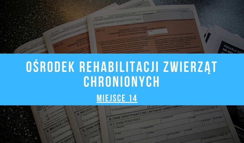 TOP 15 Organizacji Pożytku Publicznego, którym przemyślanie przekazali 1 proc. podatku [LISTA]