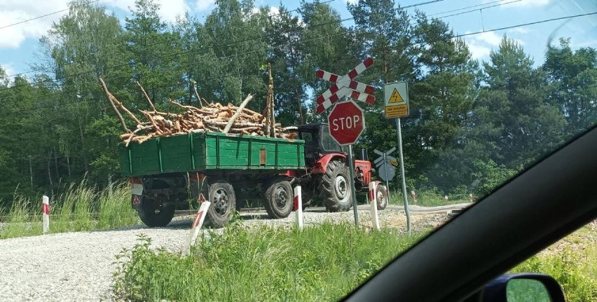 Zobacz jak wygląda zbieranie chrustu w woj. śląskim. Oto ZDJĘCIA. Ile kosztuje i jakie warunki trzeba spełnić?