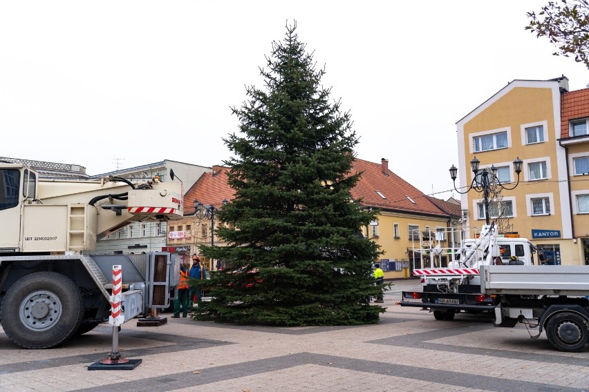 Rybnik ma już swoją choinkę na święta.