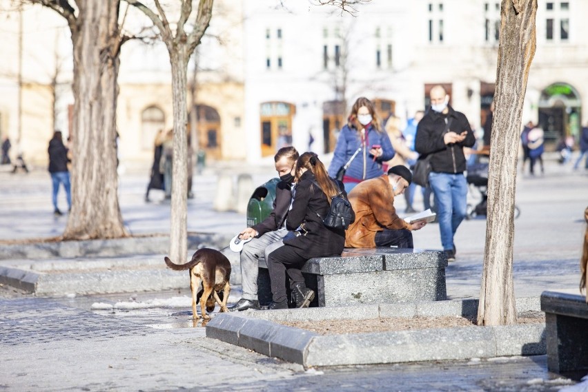 Kraków. Rynek Główny jak sprzed pandemii. Turyści znów odwiedzają centrum miasta [ZDJĘCIA]