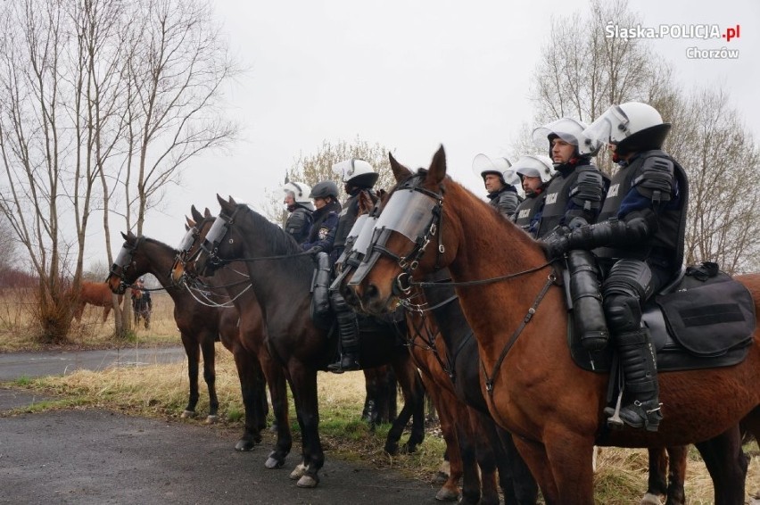 Zespół policji konnej w Chorzowie