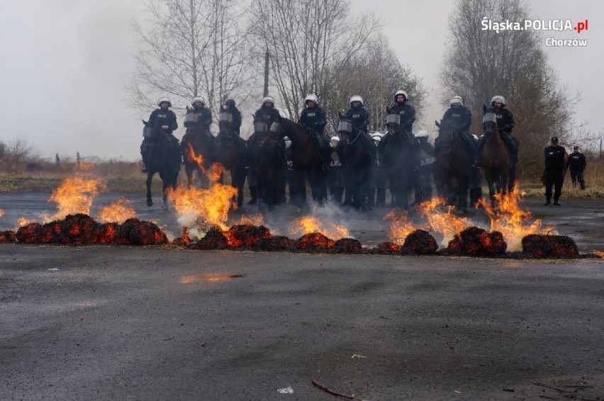 Zespół policji konnej w Chorzowie