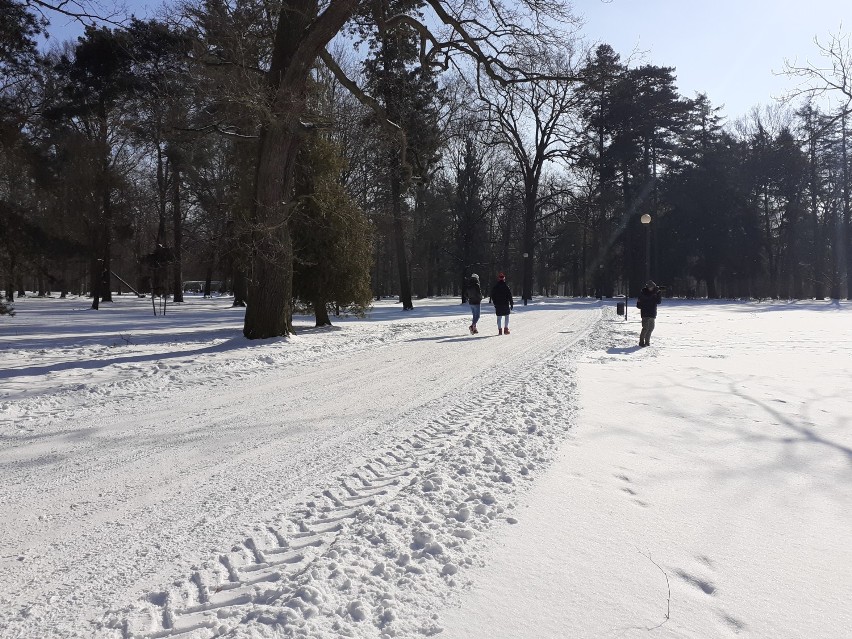 Park w Świerklańcu zimą - idealne miejsce na walentynki 2021 [ZDJĘCIA]