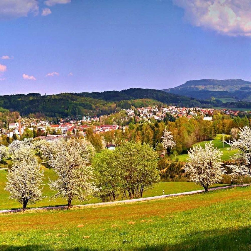 Wycieczka dla wnuków i dziadków. I to jaka! Za darmo do Czech