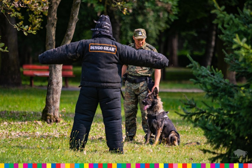 Piknik militarny w Bielsku Podlaskim w 100-lecie Cudu nad Wisłą [zdjęcia]