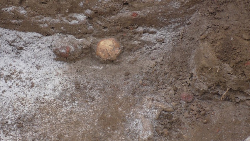 Niesamowite odkrycie archeologów w centrum Rzeszowa