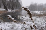 Pogoda na święta Bożego Narodzenia 2018 w Toruniu. Będą białe, czy raczej deszczowe? A może zaskoczą nas wyjątkowo wysokie temperatury?