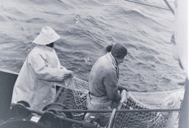 Połów ryb i ich przetwarzanie były jednym z najważniejszych źródeł utrzymania mieszkańców Ustki i to od stuleci.