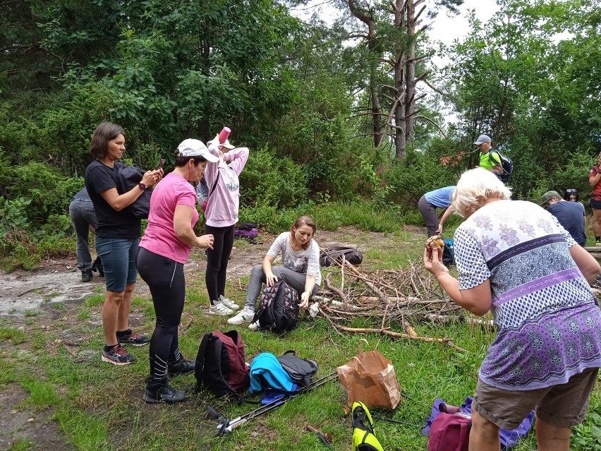 Trekking z MOSiR Radomsko po Przedborskim Parku Krajobrazowym