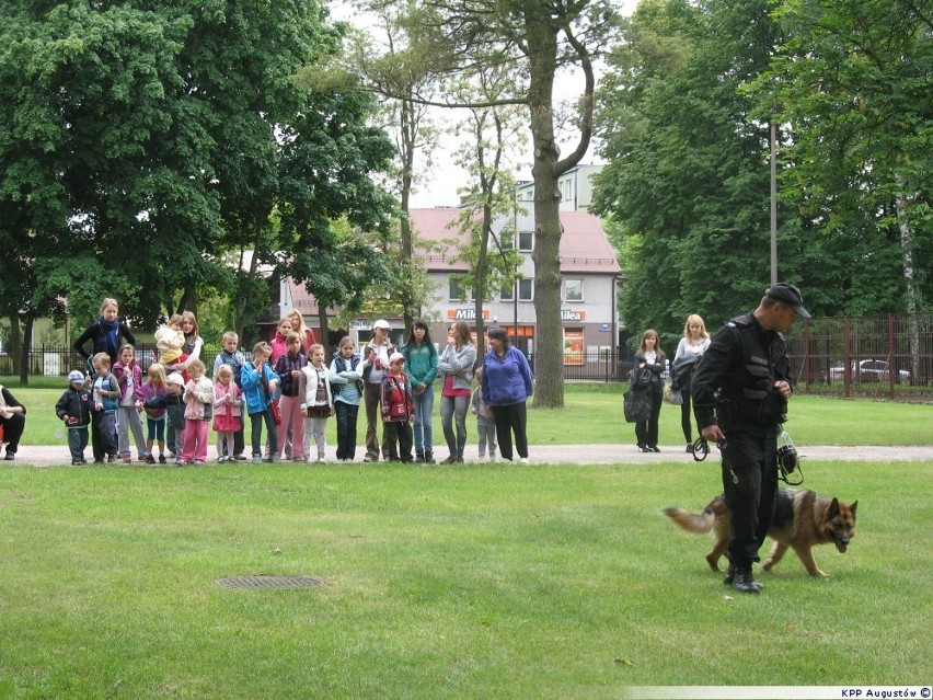 Policjanci z Augustowa na festynie w liceum [zdjęcia]