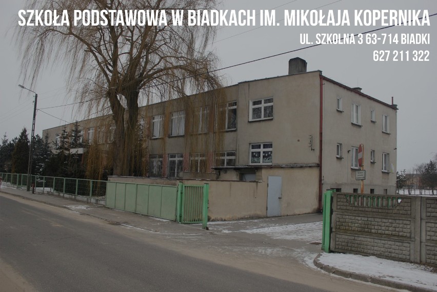 INFORMATOR: szkoły i przedszkola w gminie Krotoszyn. Warto to wiedzieć [ADRESY, EMAIL, TELEFONY]