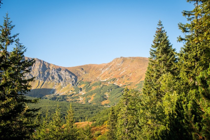 Tatry. Magiczne kolory na Przełęczy Zawrat. Zapierające dech w piersiach tatrzańskie widoki [ZDJĘCIA]