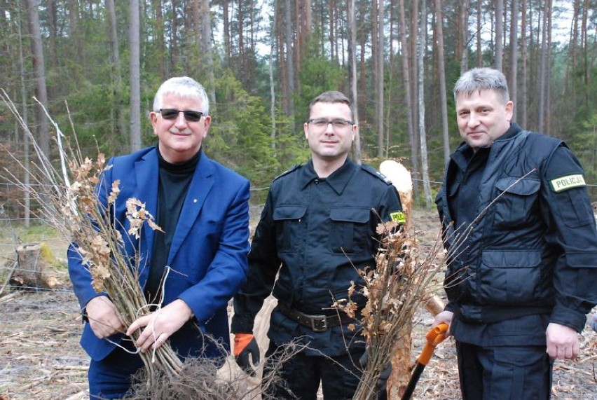 Pucka policja i wójt Henryk Doering sadzili drzewka