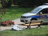 Mężczyzna zasłabł w parku w Łabędach. Fala interwencji służb ratowniczych w Gliwicach. Alkohol i upał to fatalne połączenie! 