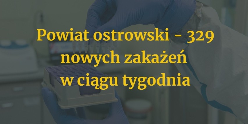 Zobacz, gdzie w Wielkopolsce przybyło jeszcze więcej...