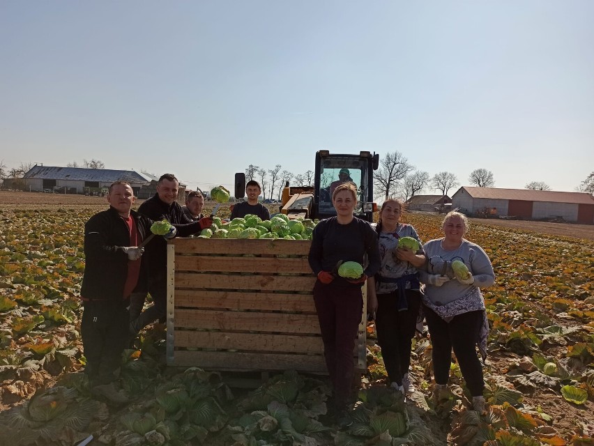 Zbiórka żywności na Ukrainę. 40 ton warzyw od rolników m.in...