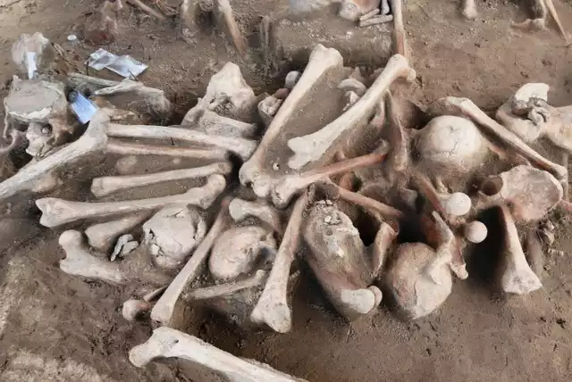 Badacze, pracujący w miejscu, gdzie w 1759 miała miejsce bitwa pod Kunowicami, trafiają na kolejne kości.