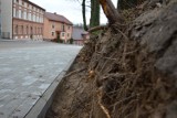 Przy ulicy Pochyłej w Bytowie korzenie drzew drastycznie podcięte. Mieszkańcy krytykują władze