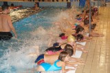 Manta w Wodzisławiu Śl.: Ruszyła nauka pływania dla dzieci [ZDJĘCIA]