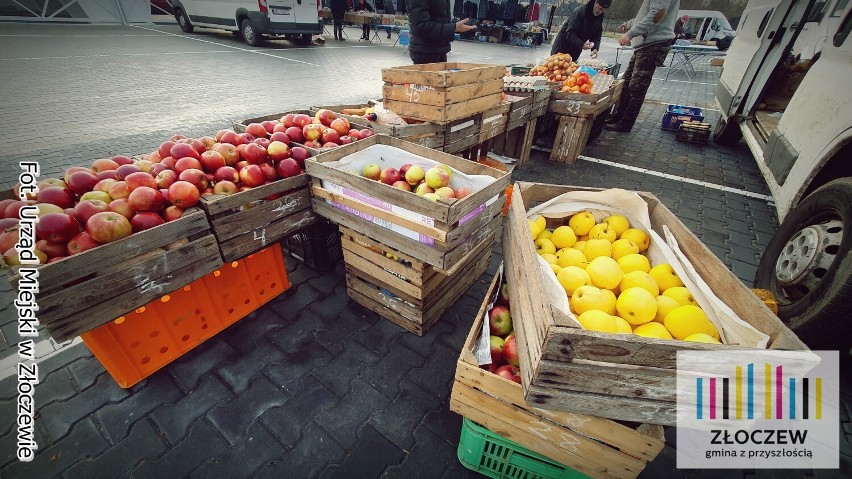 Pierwszy handlowy dzień na targowisku miejskim w Złoczewie w 2023. Niebawem giełda egzotyki ZDJĘCIA