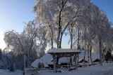 Krynica-Zdrój. Miasto niczym zimowa baśń [ZDJĘCIA]