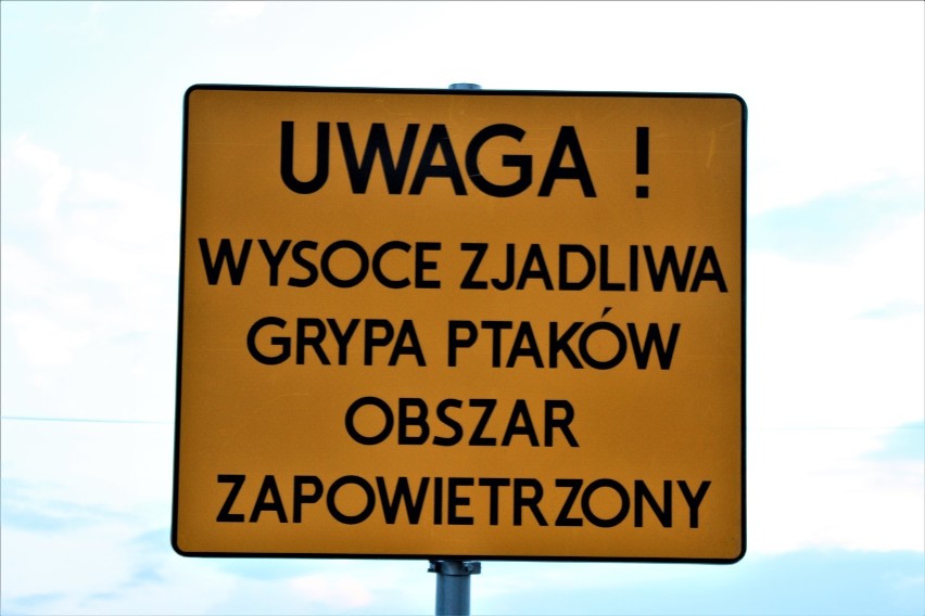 Obszar zapowietrzony - takie znaki pojawiły się w naszym...