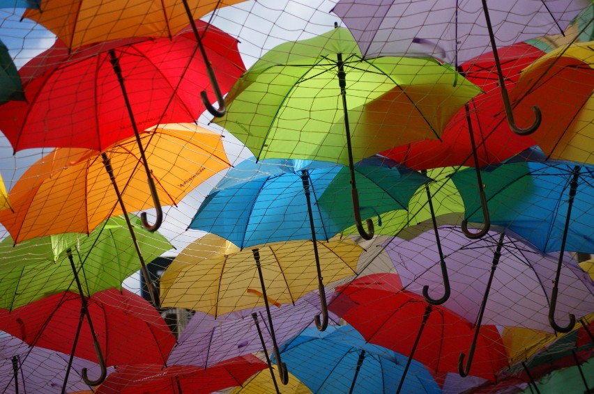 Inowrocław w parasolkach [zdjęcia]