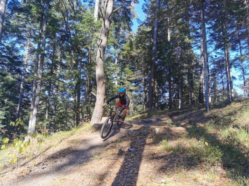 Górskie trasy rowerowe MTB powstały w Czarnorzekach. To pierwsze takie trasy w lasach Podkarpacia [ZDJĘCIA]