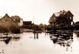 Tak żyło się na Żuławach ponad 70 lat temu. Pola były zalane, a plony niszczyła plaga myszy. Tak dziennikarze widzieli powiat dekady temu
