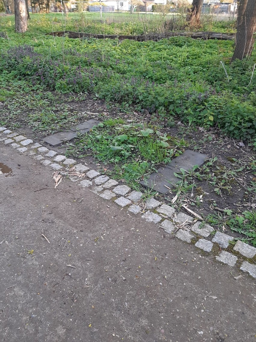 Gmina Pruszcz Gdański. Z parku w Wojanowie skradziono ławki. To nie jedyny akt wandalizmu!