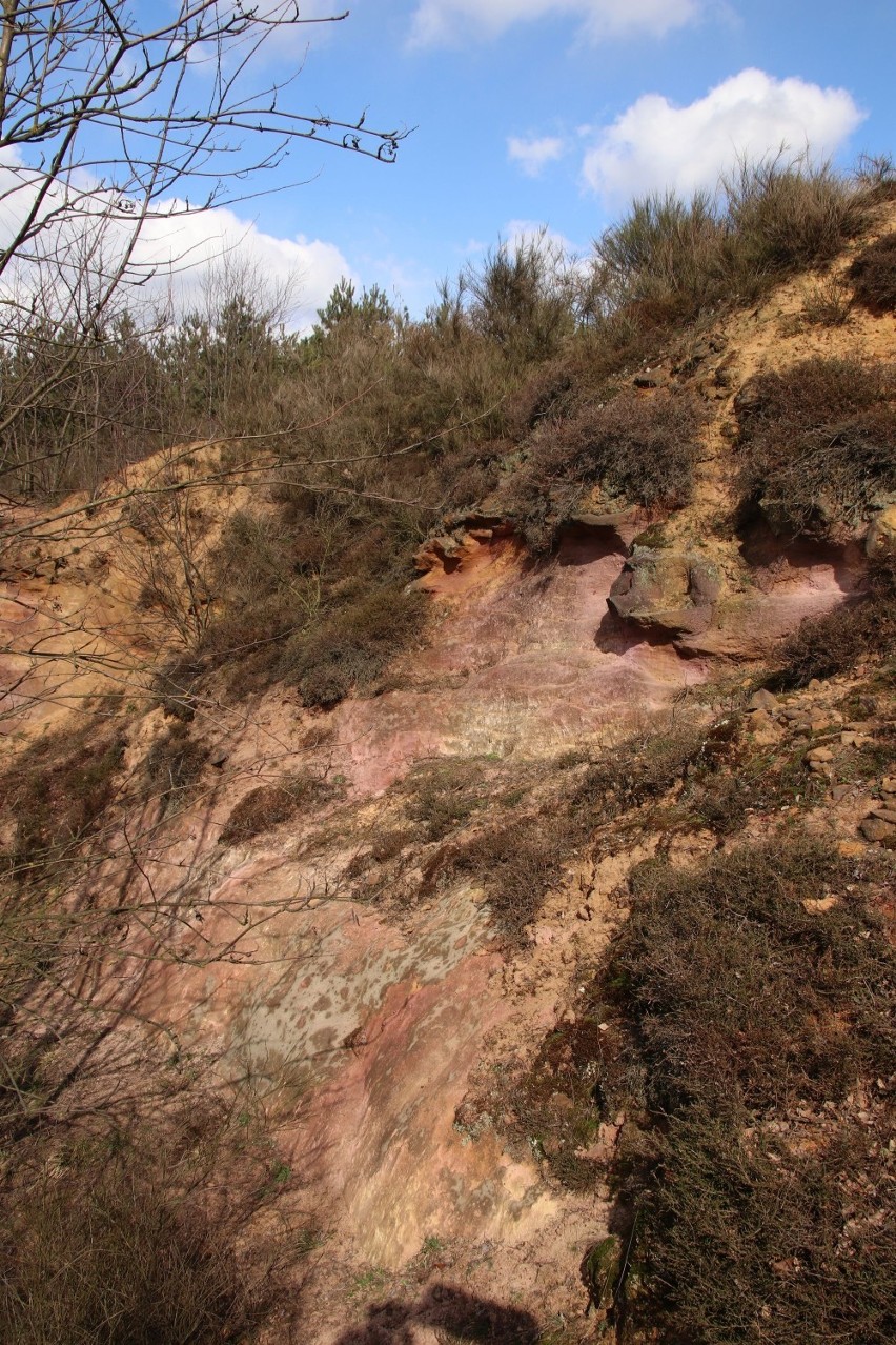 Kamieniołom piaskowca w Olewinie. Atrakcja geoturystyczna ziemi wieluńskiej ZDJĘCIA