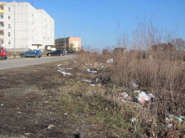 Śmieci przy ul. Sucharskiego w Myszkowie