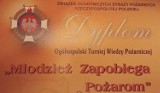 Ogólnopolski Turniej Wiedzy Pożarniczej po raz kolejny w Kutnie