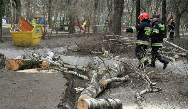 Strażacy w Kujawsko-Pomorskiem od sobotniego popołudnia interweniowali ponad pół tysiąca razy w związku ze skutkami wichur