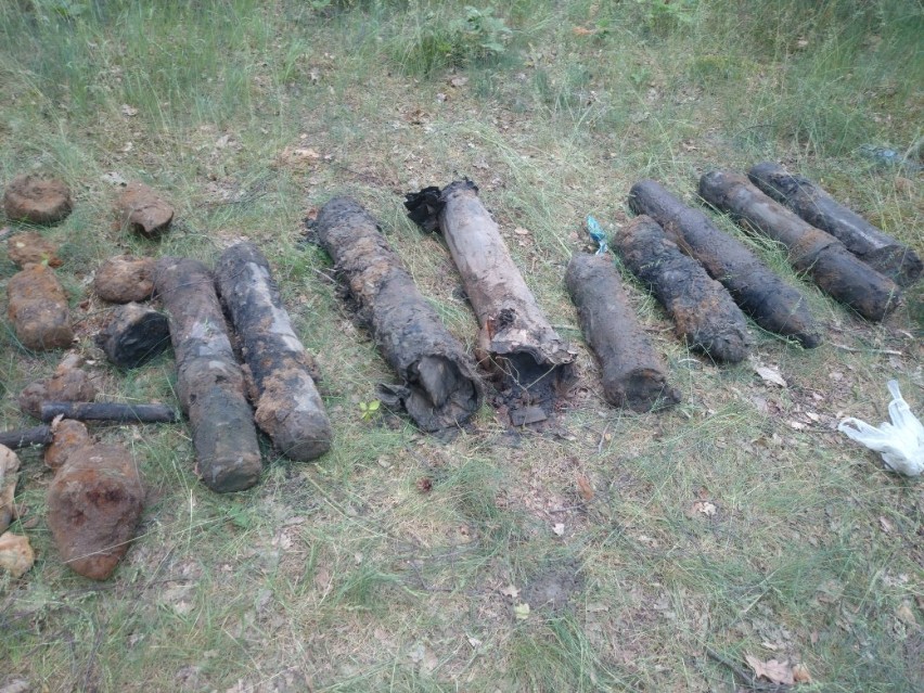 W lesie w okolicach Borowa odnaleziono kilkadziesiąt...