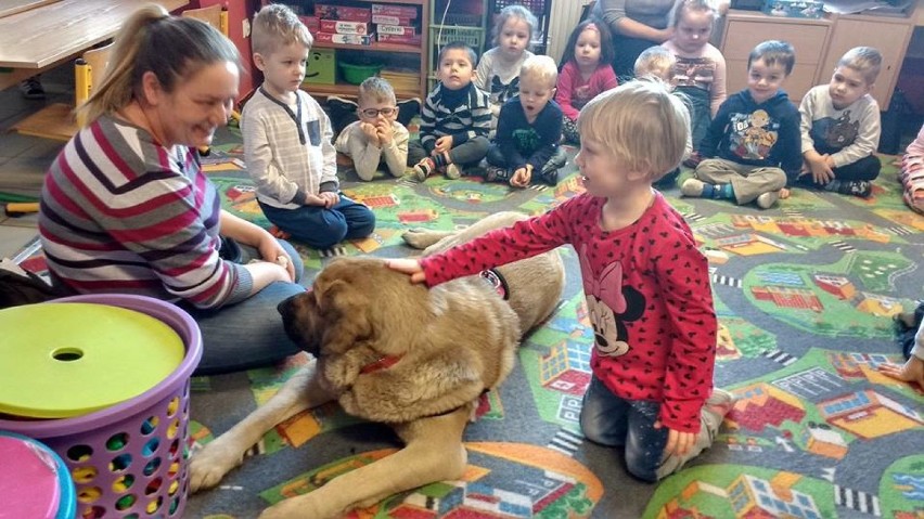 Psi terapeuta w przedszkolu
