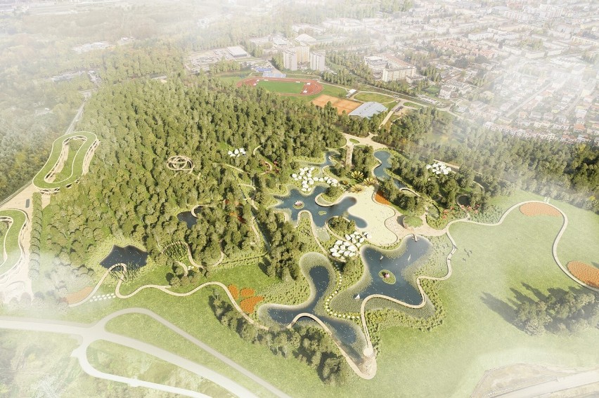 Stalowa Wola nie rezygnuje z budowy parku "Miejskie mokradła", inspirowanego filmem „Avatar”. Zobacz zdjęcia