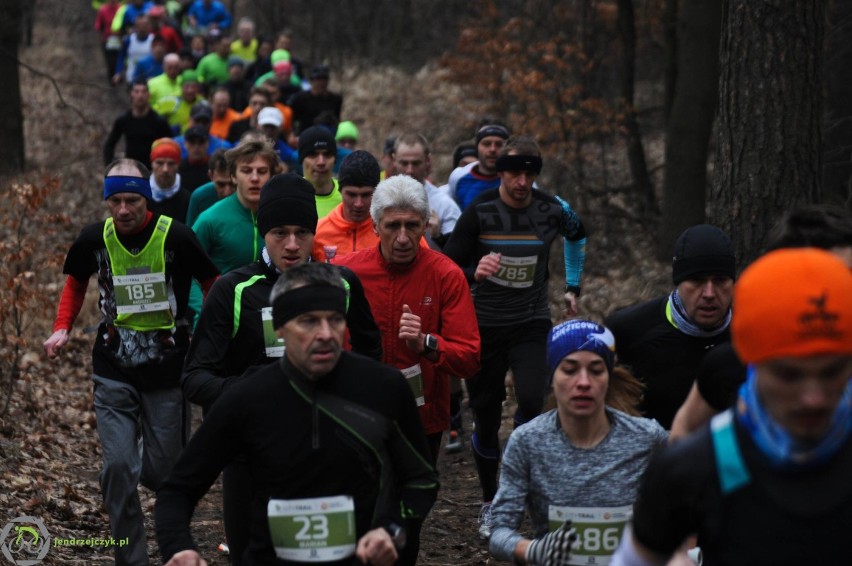 City Trail w Katowicach - zdjęcia z finałowego biegu [28 luty 2016]