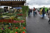IV Wiosenne Targi Ogrodnicze w Przechlewie przyciągają wystawców i kupujących z całego regionu. Jutro drugi dzień wydarzenia i moc atrakcji