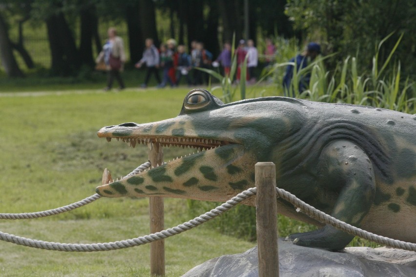 Noc Dinozaurów w Lubinie - będzie się działo!