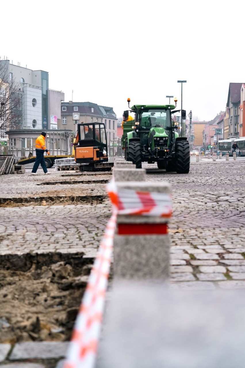 Ruszyły nasadzenia drzew na Placu Wolności w Rybniku