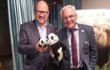 Pomysł sprowadzenia pand do gdańskiego zoo rozpalił polityczne emocje. Zwolennicy Jarosława Wałęsy nie zostawiają na tym suchej nitki 
