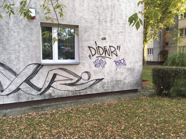 Grafficiarz grasuje na Osiedlu Jagiellońskim w Kielcach. Mieszkańcy skarżą się, że napisy pojawiły się na budynkach przy kilku ulicach